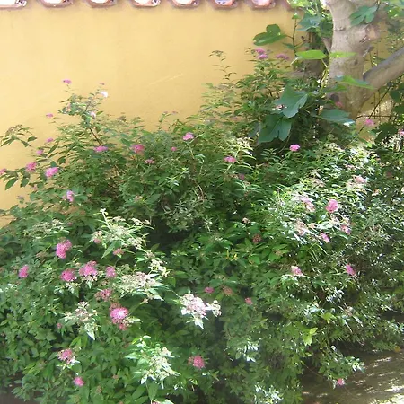 Jacqueline Апартаменти Пула